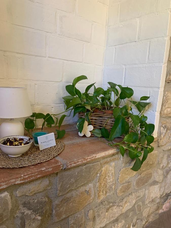 Da Agostino, La Casa Del Latte Βίλα Costa di Mezzate Εξωτερικό φωτογραφία